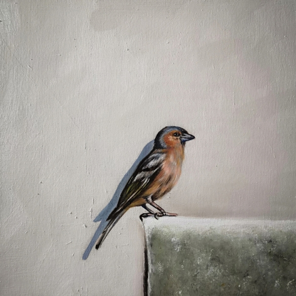 The Auschwitz Bird