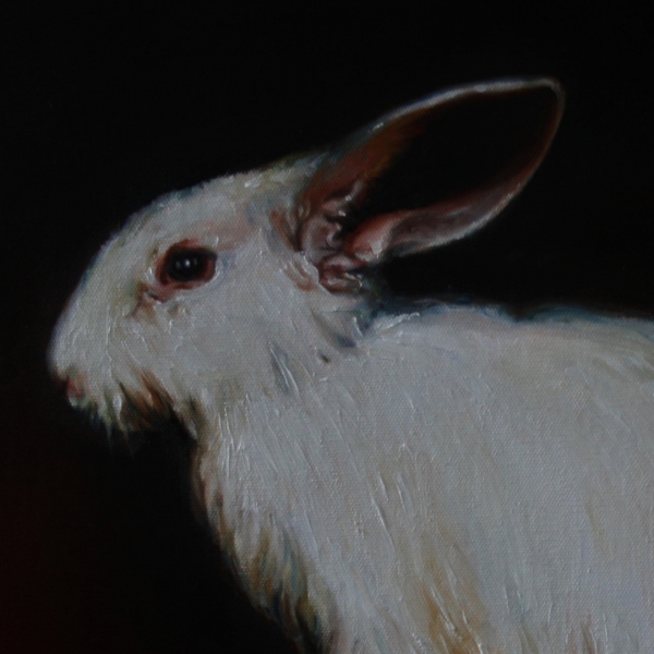 The Rabbit